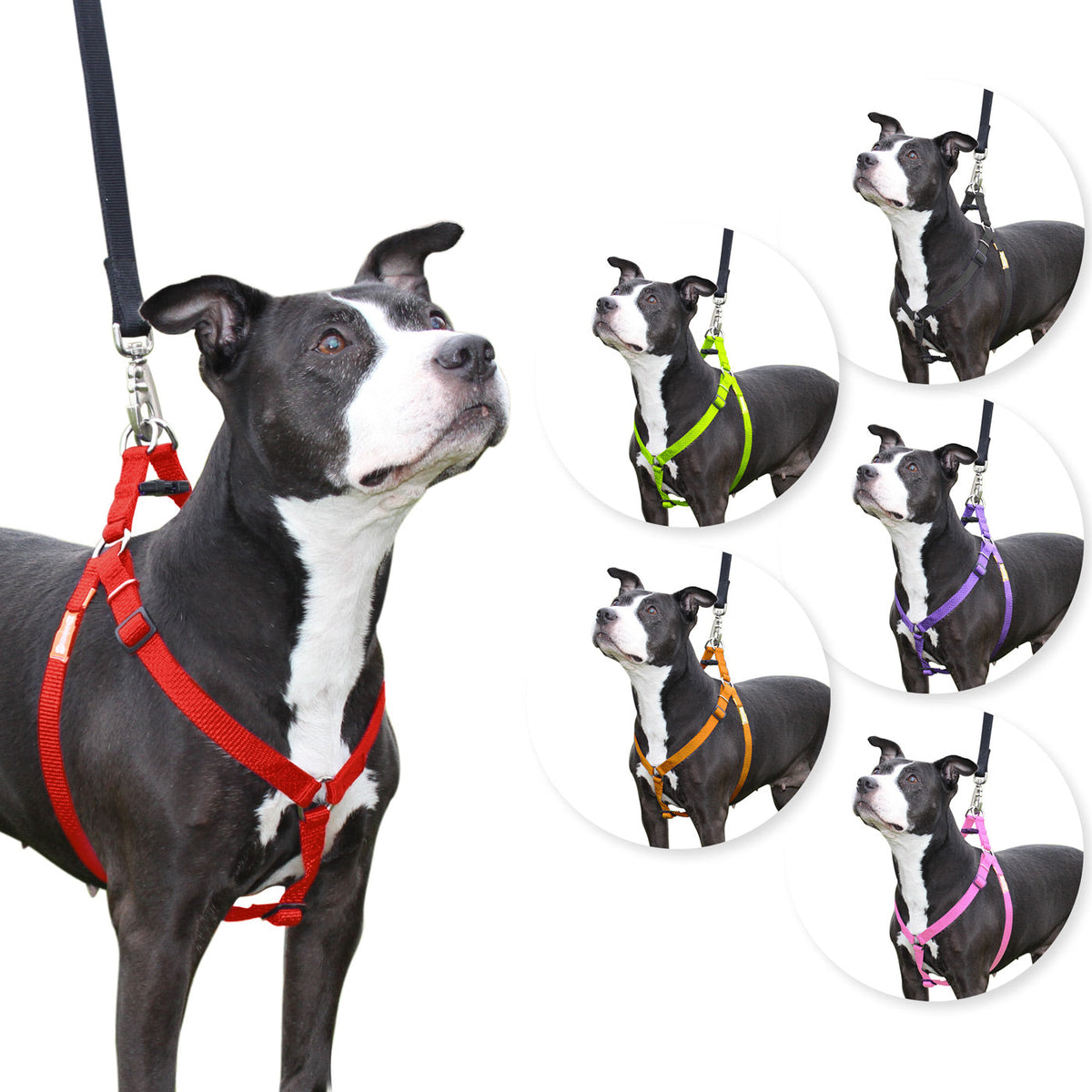 Arnés para perros Step in de cuteNfuzzyÂ®