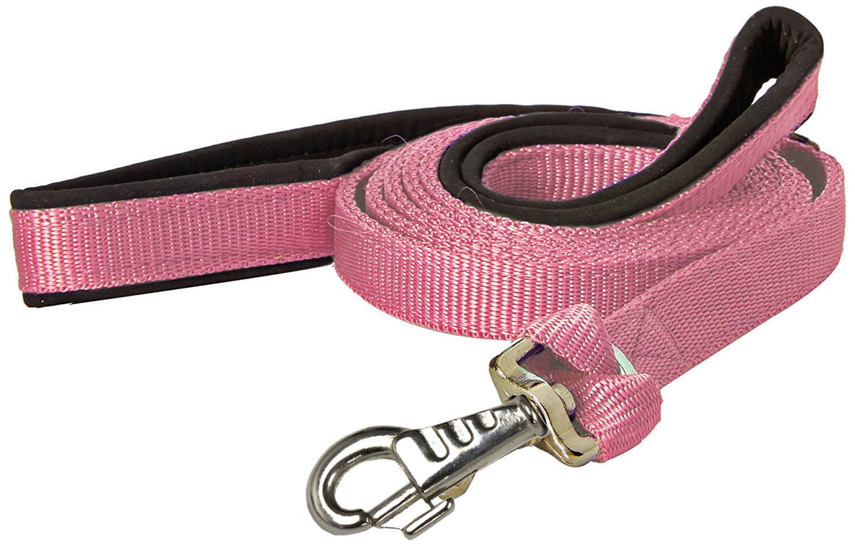 Correa para perro acolchada de doble asa con mosquetón reemplazable garantizado, 1" x 6'