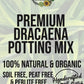 Dracaena Premium Potting Mix
