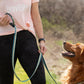 Adjustable Hands-Free Leash 3/4''