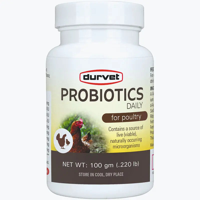 Durvet Healthy Flock Poultry Probiotics Daily 100gm