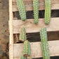 #EC107 EXACT Trichocereus Bridgesoid "SunSpine" cutting