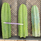 #EC13 EXACT Trichocereus Pachanoi #46 Cactus Potted & Cuttings