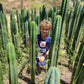 #EC130 Justus' Trichocereus NOID Collection of Cuttings