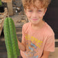 #EC130 Justus' Trichocereus NOID Collection of Cuttings