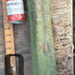 #EC147 EXACT Trichocereus Bridgesii  Jiimz Twin Spinez LONG Cactus Cuttings
