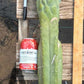 #EC147 EXACT Trichocereus Bridgesii  Jiimz Twin Spinez LONG Cactus Cuttings