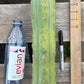 #EC153 EXACT Trichocereus Bridgesii Jiimz Twin Spine Cactus Cuttings