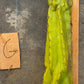 #EC169 EXACT Trichocereus Pachanoi Monstrose TPM Cactus TLC Cuttings A-J