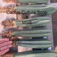 #EC185 Trichocereus Hybrid BARGAIN SPECIAL (1 unit) Cactus Bare Root Specimens