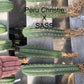 #EC185 Trichocereus Hybrid BARGAIN SPECIAL (1 unit) Cactus Bare Root Specimens