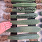 #EC185 Trichocereus Hybrid BARGAIN SPECIAL (1 unit) Cactus Bare Root Specimens
