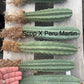 #EC185 Trichocereus Hybrid BARGAIN SPECIAL (1 unit) Cactus Bare Root Specimens