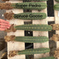 #EC185 Trichocereus Hybrid BARGAIN SPECIAL (1 unit) Cactus Bare Root Specimens