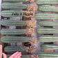 #EC185 Trichocereus Hybrid BARGAIN SPECIAL (1 unit) Cactus Bare Root Specimens