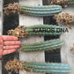 #EC185 Trichocereus Hybrid BARGAIN SPECIAL (1 unit) Cactus Bare Root Specimens
