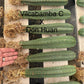 #EC185 Trichocereus Hybrid BARGAIN SPECIAL (1 unit) Cactus Bare Root Specimens