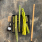 #EC188 EXACT Trichocereus TLC Bargain MIXED Cactus Cutting Lot