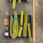 #EC188 EXACT Trichocereus TLC Bargain MIXED Cactus Cutting Lot