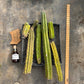 #EC188 EXACT Trichocereus TLC Bargain MIXED Cactus Cutting Lot