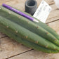 #EC196 EXACT trichocereus Peruvianus "Rancho" Ornamental Cactus Cuttings and Potted
