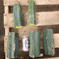 #EC200 EXACT Trichocereus Pachanoi BGH Cactus cutting