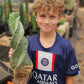 #EC257 Cereus Forbesii Spiralis The Spiral Cactus Potted
