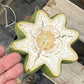 #EC296 EXACT Trichocereus Pachanoi Nuestra Bonita Cactus Potted A-D