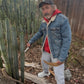 #EC76 EXACT Trichocereus Bridgesii JIIMZ Cactus Cutting includes A Personal Video 15”+