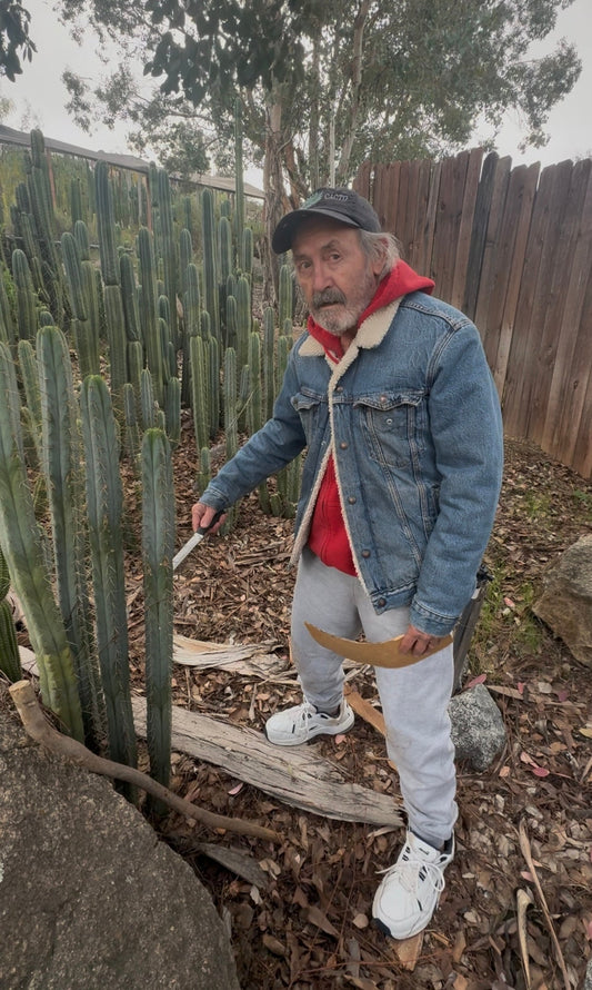 #EC76 EXACT Trichocereus Bridgesii JIIMZ Cactus Cutting includes A Personal Video 15”+