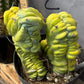 #EC87 Myrtillocactus Crested