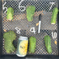 #EC93 EXACT Trichocereus Pachanoi San Pedro TPM Crested and Monstrose Cactus