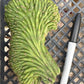 #EC93 EXACT Trichocereus Pachanoi San Pedro TPM Crested and Monstrose Cactus