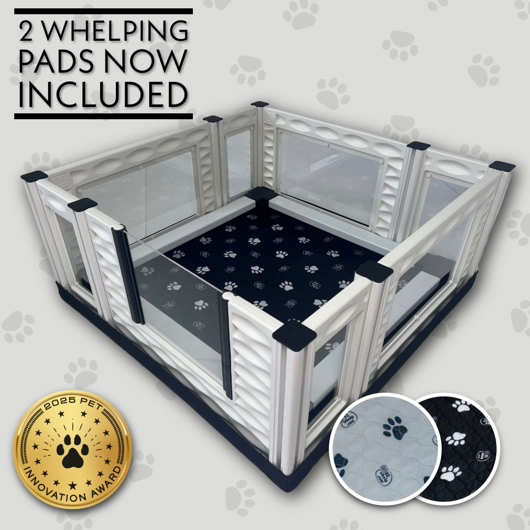 Set de caja de parto con ventanas EZclassic con conjunto de barandilla