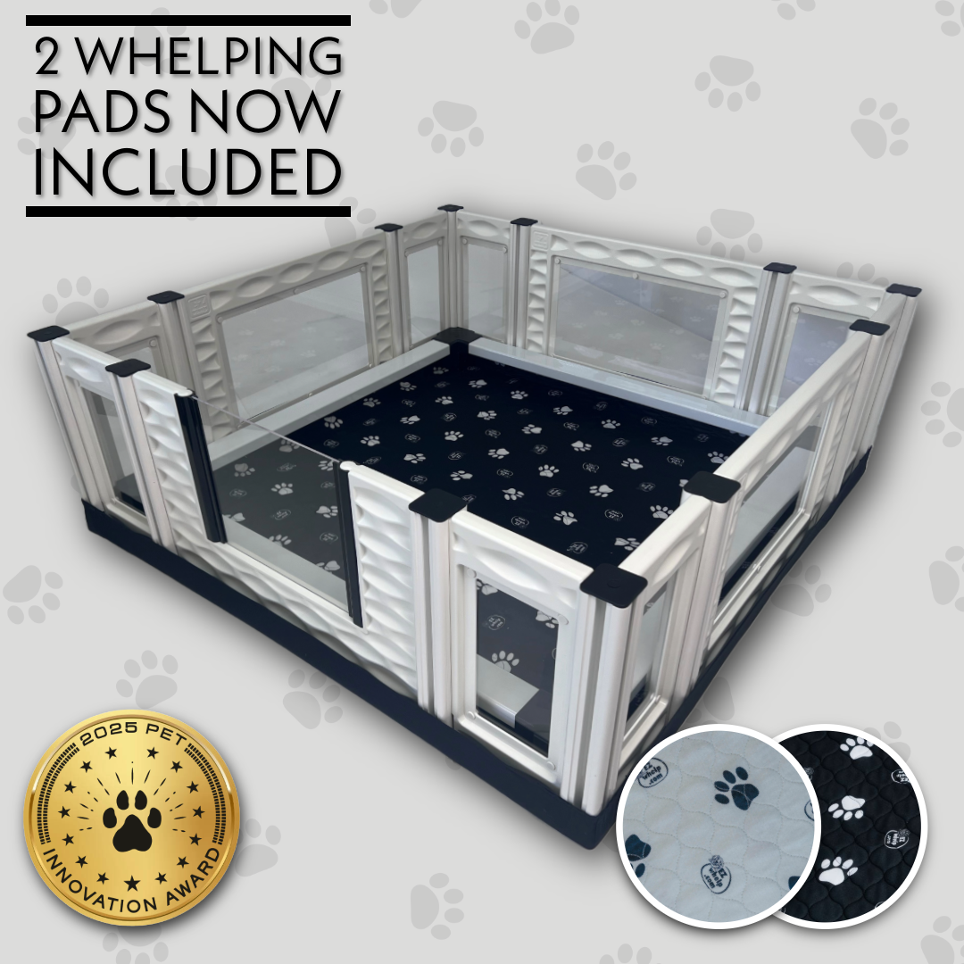Set de caja de parto con ventanas EZclassic con conjunto de barandilla