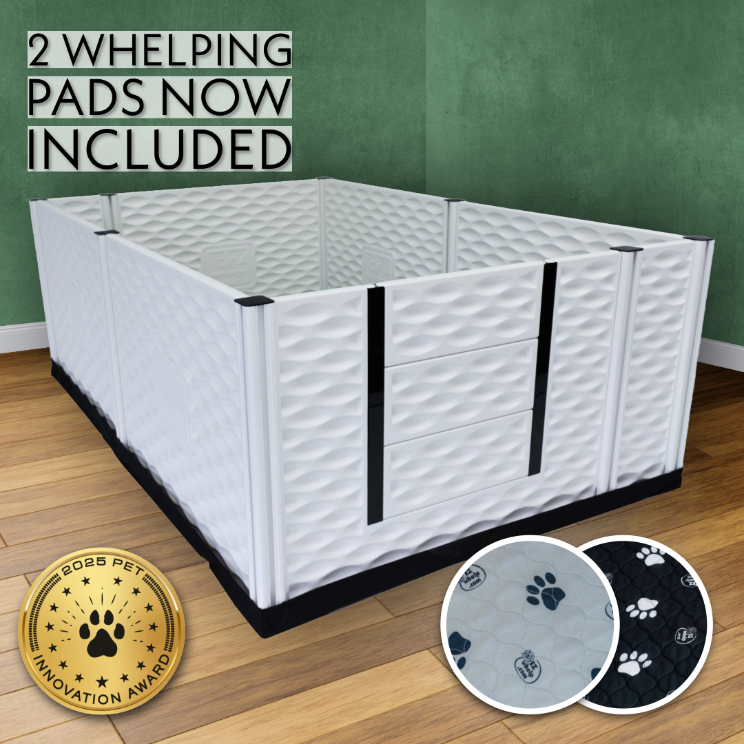 Caja de parto alta EZclassic con rieles