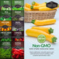 Easy-to-Grow Seed Collection – Beginner-Friendly Vegetables & Herbs for Quick, Reliable Harvests