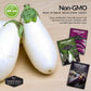 Eggplant Seed Collection – Snowy, Long Purple & Black Beauty Varieties for Home Gardens