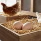 Little Giant Ceramic Nest Eggs 2 Pack 4 Count Fake Chicken Coop Eggs, Brown
