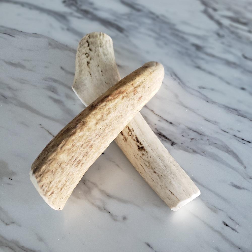 Large Whole Elk Antler for Dogs – 9.5–11.5"