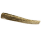 Large Whole Elk Antler for Dogs – 9.5–11.5"