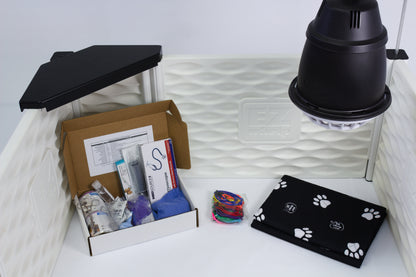 Paquetes - Set Esencial EZclassic