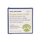 Everyday Green - Organic Green Tea Bag