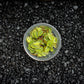 Water Spangle | Salvinia Minima