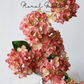 Blush Hydrangea Arrangement Kit (Stems Only)