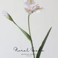 Whimsical Iris Stem – 29.9"