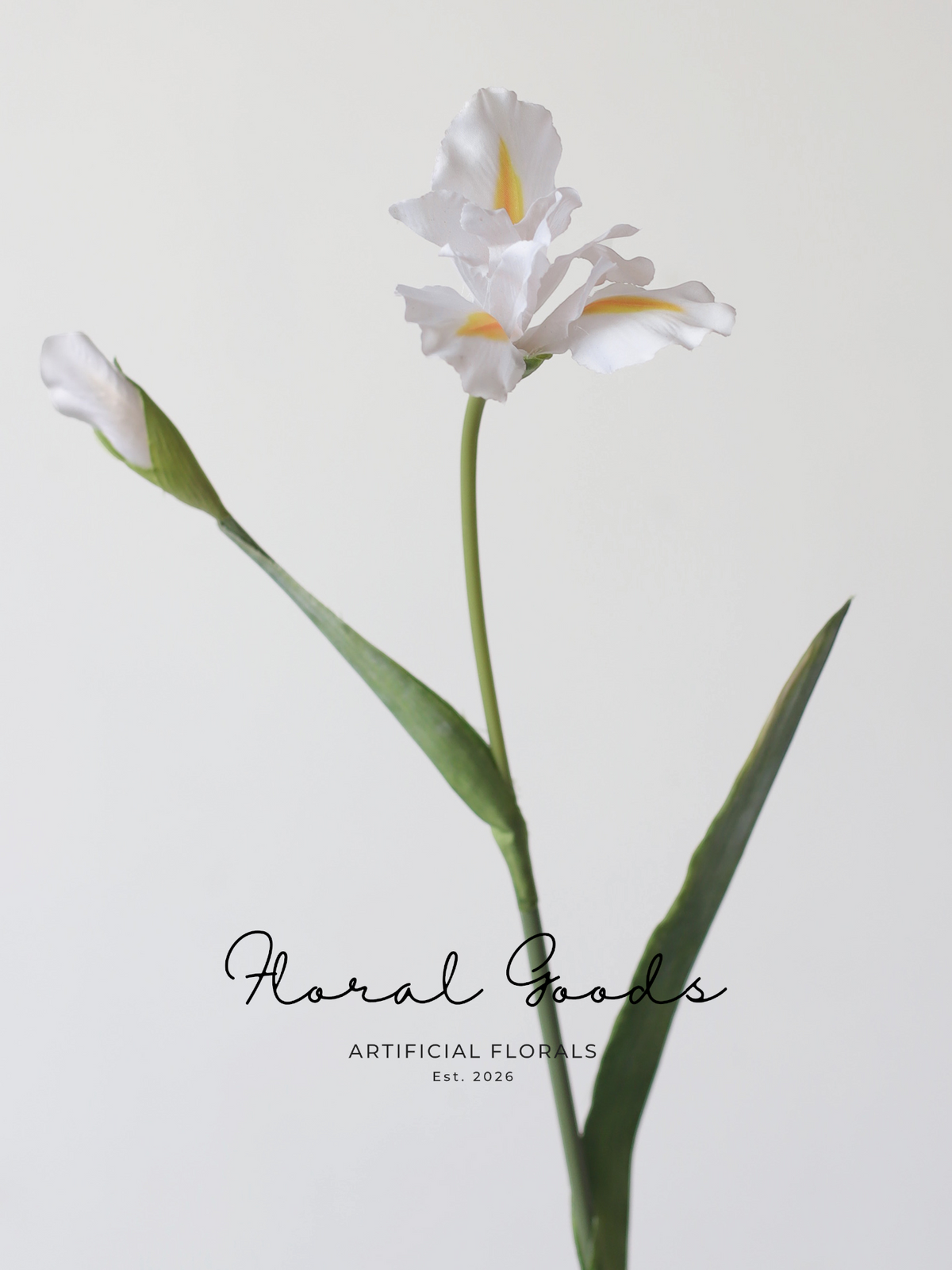 Whimsical Iris Stem – 29.9"