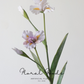 Whimsical Iris Stem – 29.9"