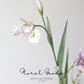 Whimsical Iris Stem – 29.9"