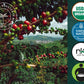 Organic Cuba Mia Decaf Espresso ESE Coffee Pods, Dark Roast - 18 Pods